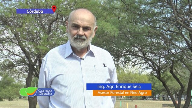 Campo Directo | Plan Forestal, promociones y especies