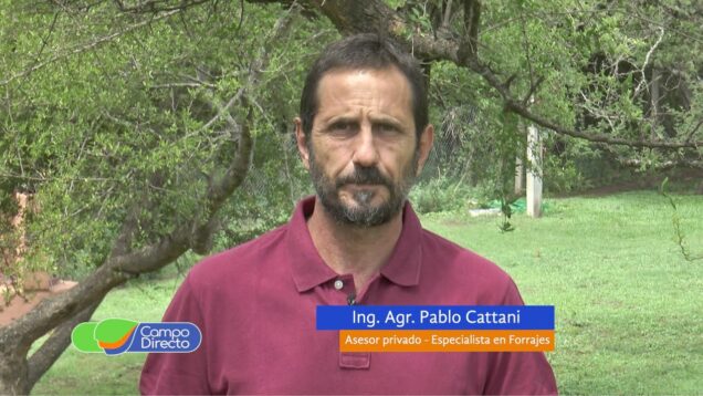 Campo Directo | Ventajas del Pastoreo Mecánico