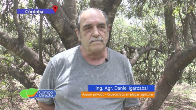 Campo Directo | Alerta de plagas agrícolas para enero 2021
