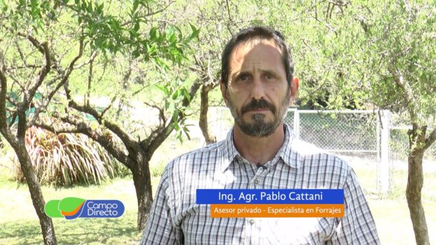 Campo Directo | Estructura de Silo Aéreo