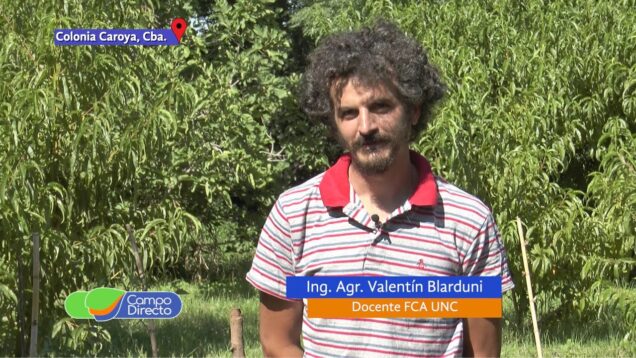 Campo Directo | La Huerta en Verano “Siembra escalonada”