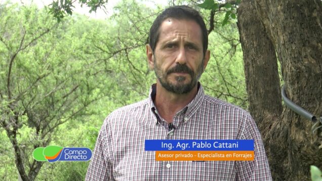 Campo Directo | Maíces arrebatados ¿Qué hacemos?