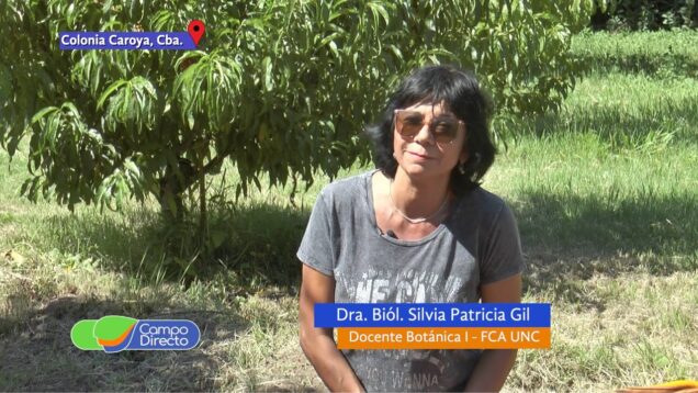 Campo Directo | Nuestra Huerta 1: ¿Qué comemos de lo que cultivamos?