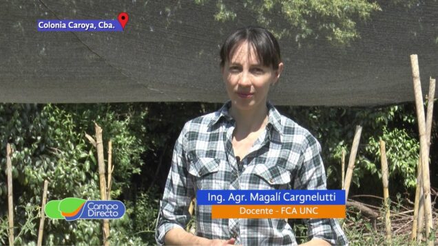 Campo Directo | Nuestra Huerta 3 Protección de los cultivos