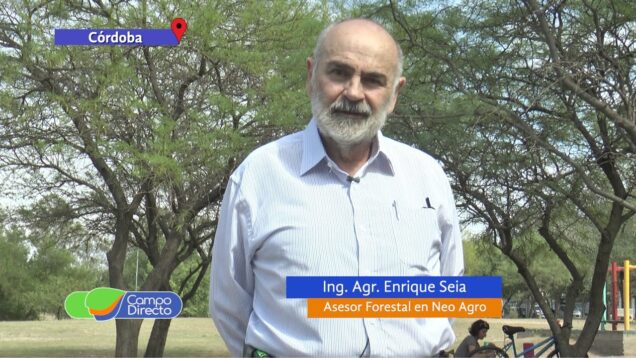 Campo Directo | Plan Forestal, promociones y especies