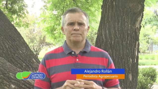 Campo Directo | Restricciones al maíz Los efectos