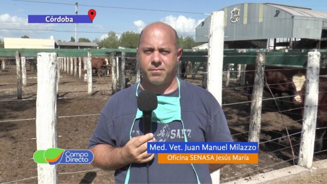 Campo Directo | Actualización del Control y Erradicación de Brucelosis Bovina