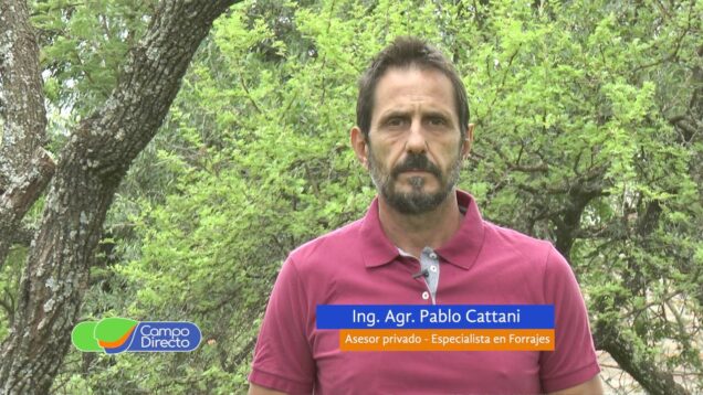 Campo Directo | Condiciones atípicas para el picado: Quebrado y tamaño de partículas