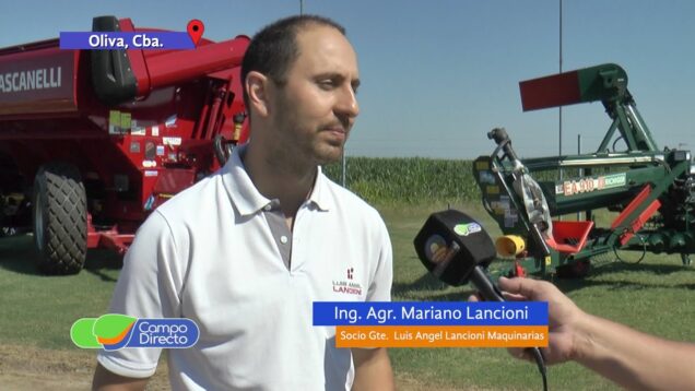 Campo Directo | Consejos para una correcta fertilización en trigo