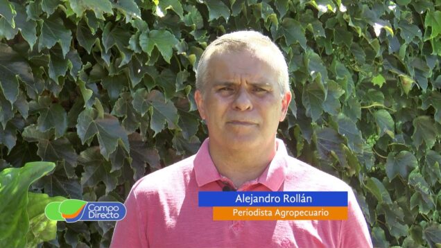 Campo Directo | Tras las lluvias, excelentes condiciones para los cultivos de segunda