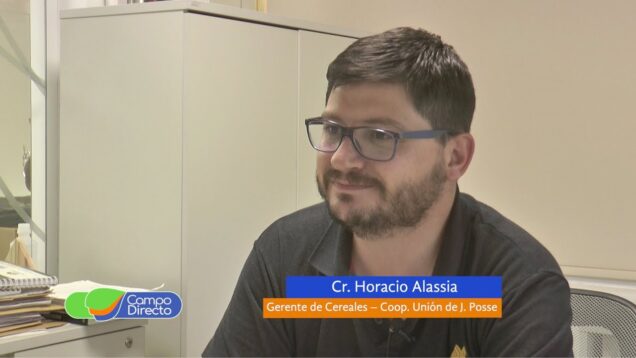 Campo Directo | Beneficios de cosechar maíces con alta humedad