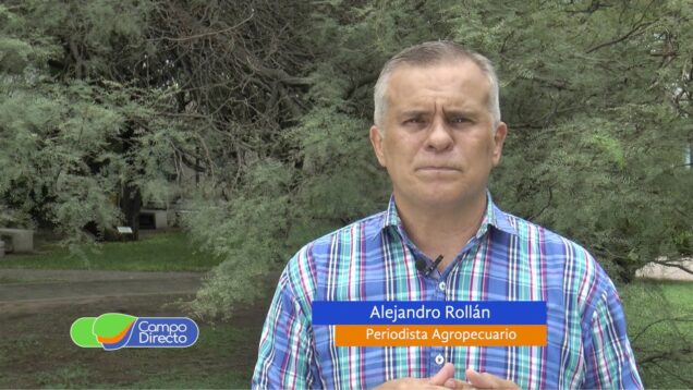 Campo Directo | Exportación Más volumen, menos dólares