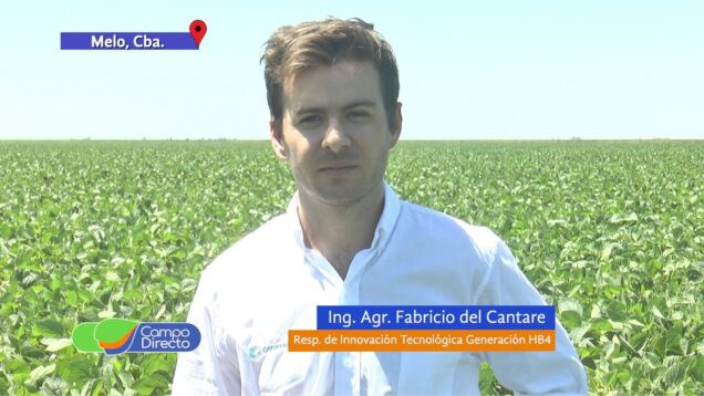 Campo Directo | Generación HB4 Palabra de usuario en Melo, Cba