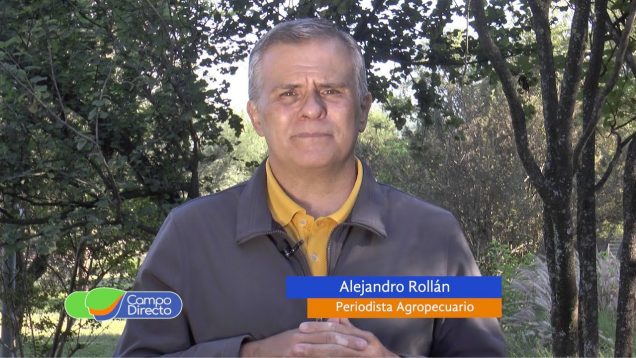 Campo Directo | Aumenta en Córdoba la faena de porcinos