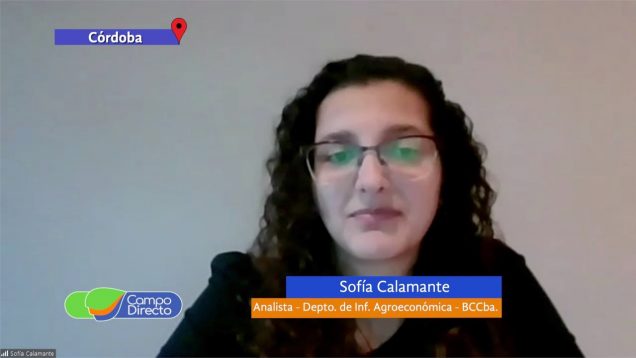 Campo Directo | Avance de la cosecha gruesa en Córdoba