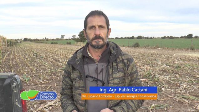 Campo Directo | Bandejas separadoras de partículas en silaje