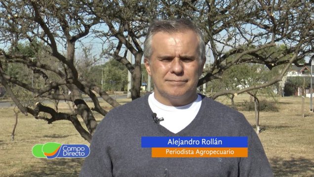 Campo Directo | Crecerá el trigo en Córdoba | Buen precio y rentabilidad