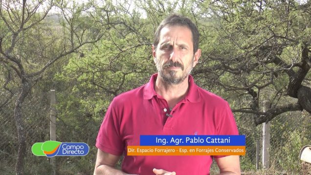 Campo Directo | Factores a considerar para determinar la apertura de los silos