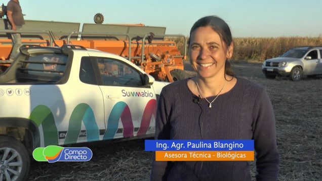 Campo Directo | Sembramos vicia con arrancadores biológicos en lote orgánico