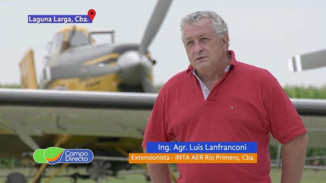 Campo Directo | Siembra aérea de cultivos de servicio sobre maíz