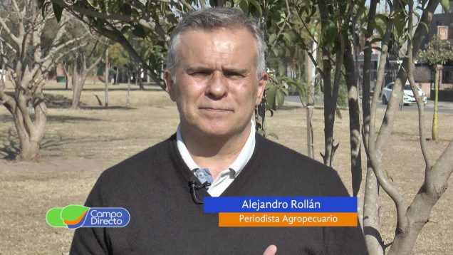 Campo Directo | Analizamos y Opinamos El campo realizó un aporte récord en el año por exportaciones