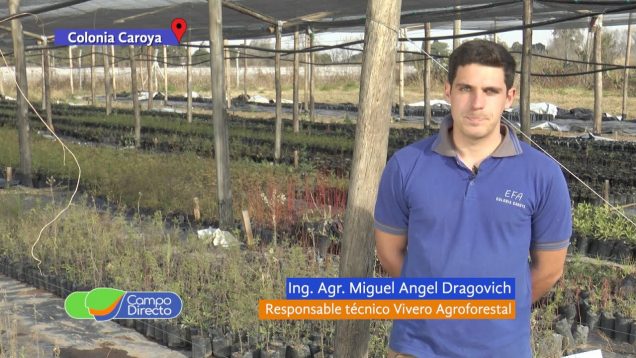 Campo Directo | El Vivero Agroforestal Córdoba Norte cuenta con 45 especies nativas y exóticas