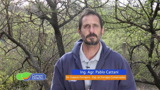 Campo Directo | Espacio Forrajero | Estrategias de uso de los verdeos de invierno