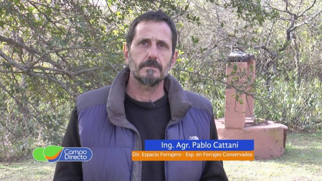 Campo Directo | Momento de preparar raciones, cuantificar y calificar los forrajes