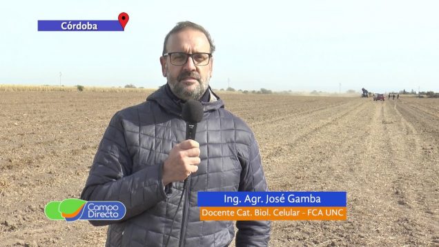 Campo Directo | Nueva cosecha de maní en el campo de la UNC, en articulación con empresas del sector