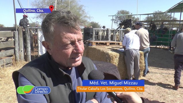 Campo Directo | 17º Remate Anual Los Socavones – (Primera Parte)