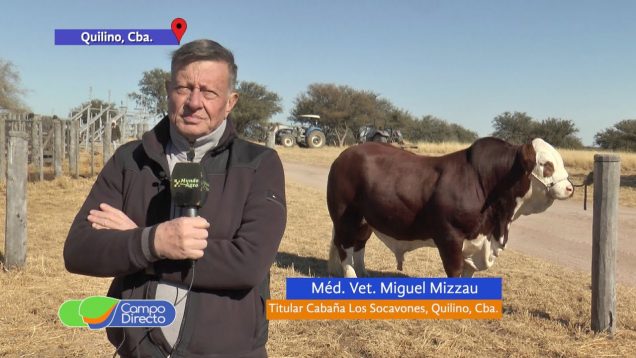 Campo Directo | Anticipos del 17° Remate Anual de Cabaña Los Socavones