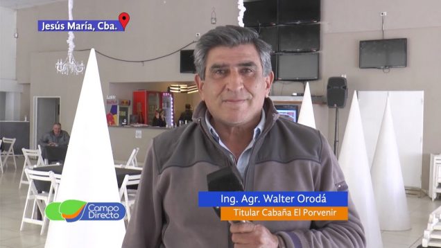 Campo Directo | Avances del 7mo Remate El Porvenir