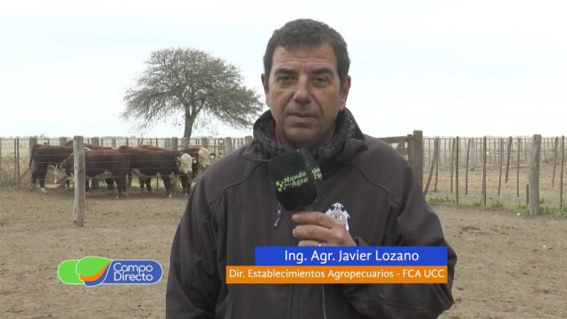 Campo Directo | Conocemos detalles de la Segunda Jura Fenotípica Hereford en la UCC