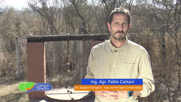 Campo Directo | Espacio Forrajero Parámetros para una correcta extracción de silajes