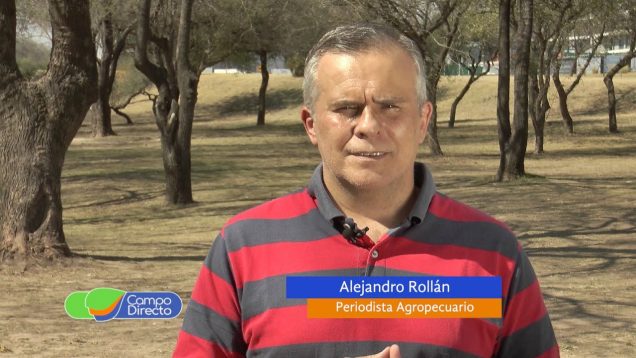 Campo Directo | La maquinaria agrícola, un sector que trabaja a full