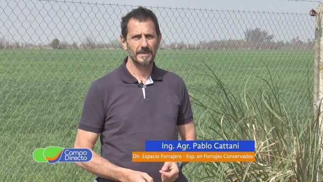 Campo Directo | Aprovechamiento eficiente de la fibra