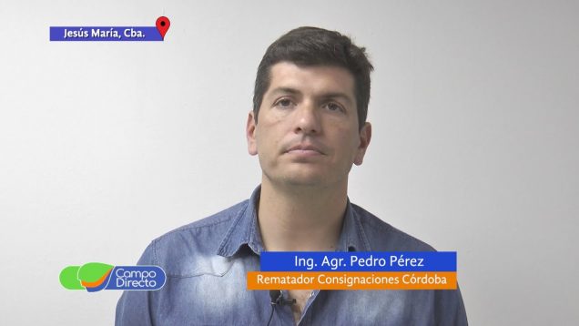 Campo Directo | Excelente remate Brangus de Quilpo Norte en la SRJM