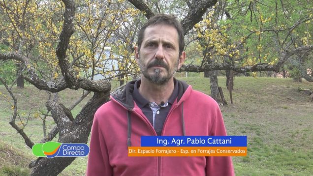 Campo Directo | Planificamos el uso de las alfalfas