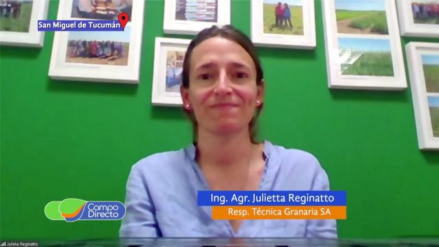 Campo Directo | Semillas de garbanzo cordobés ponen rumbo a Tucumán