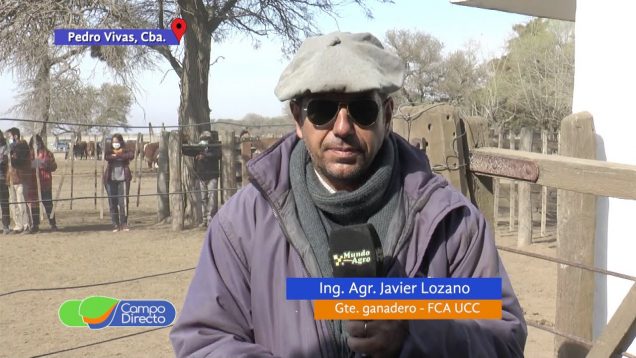 Campo Directo | Tercera “Jura fenotípica Hereford” en la UCC