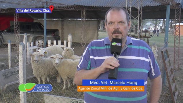 Campo Directo | Capacitación en producción ovina en Villa del Rosario