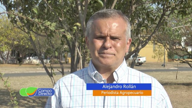 Campo Directo | Flexibilizan “parcialmente” el cepo a la carne