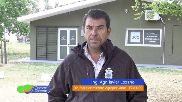 Campo Directo | Remate de Toros Hereford 4ta Prueba Pastoril UCC