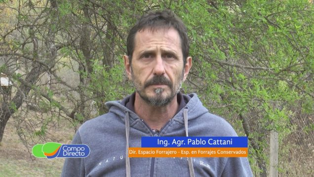 Campo Directo | Siembra de cultivos energéticos