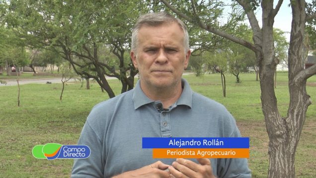 Campo Directo | El cepo a la carne goza de buena salud