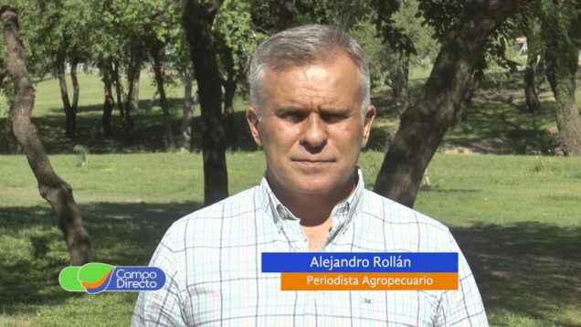 Campo Directo | La carne abre una grieta en el Gobierno