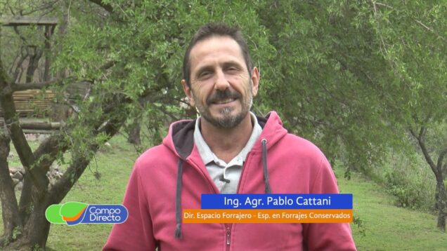 Campo Directo | La uniformidad de materia seca en silos de alfalfa es fundamental