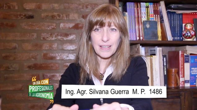 Campo Directo | Los ingenieros agrónomos y el manejo de plagas urbanas