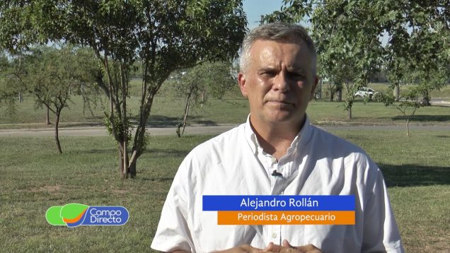 Campo Directo | El Gobierno interviene el mercado de trigo y de maíz