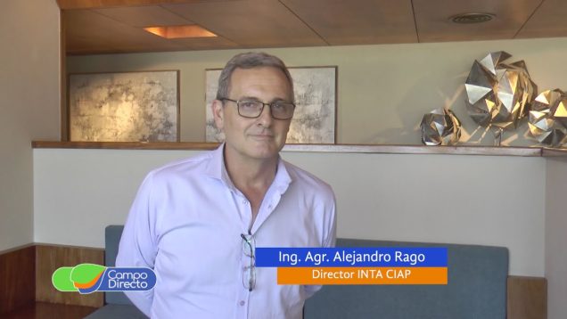 Campo Directo | Maní argentino | Ejemplo de vinculación público-privada